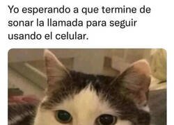 Enlace a ¡Colgadme ya!