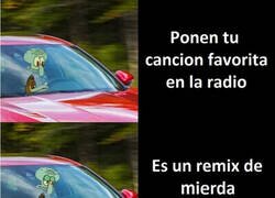 Enlace a ¿Por qué la destrozan así?