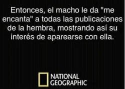 Enlace a La naturaleza en estado puro