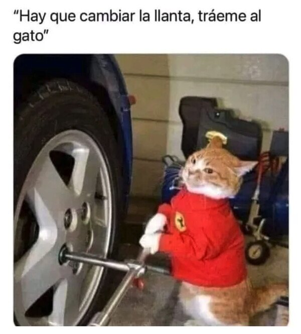 Meme_otros - Gato mecánico
