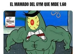 Enlace a El típico tapón musculado
