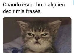 Enlace a ¡Apropiación!