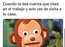 Enlace a ¿En qué momento ocurrió?