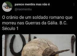 Enlace a ¿De qué pudo haber muerto?