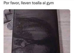 Enlace a Trauma en el gym