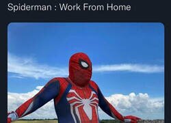 Enlace a La peli que falta