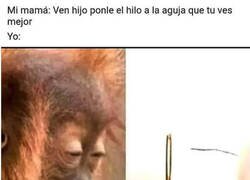 Enlace a Momento de concentración máxima