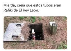 Enlace a ¿Rafiki, eres tú?