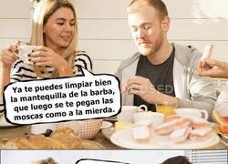 Enlace a Malentendidos...