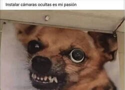 Enlace a Hay quien tiene un don para ciertas cosas