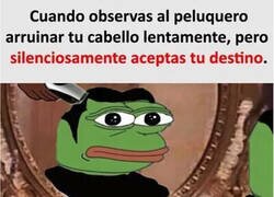 Enlace a Asumiendo a mi nuevo yo