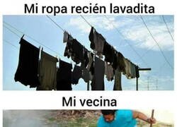 Enlace a Muy oportuna