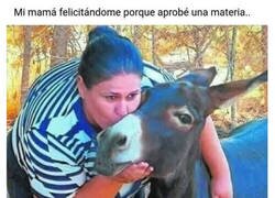 Enlace a Muy bien burrito mío...