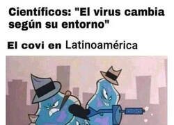 Enlace a Según su entorno