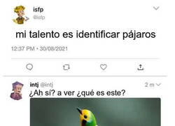 Enlace a El indentificador de pájaros