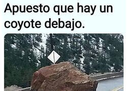 Enlace a El correcaminos pasó por aquí