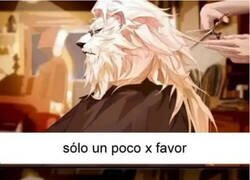 Enlace a Maldito peluquero