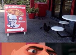 Enlace a Estos pollos los tienen cuadrados