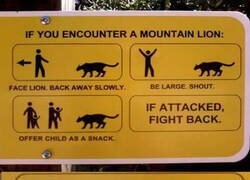 Enlace a ¿Qué indicaciones son esas?