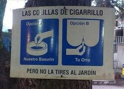 Enlace a ¿Con qué opción te quedas?