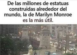 Enlace a Muy útil para días lluviosos