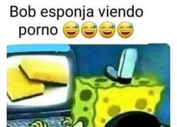 Enlace a Cosas de esponjas