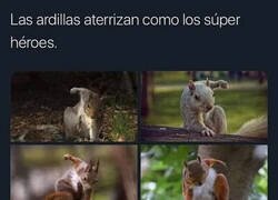 Enlace a Se flipan un poco