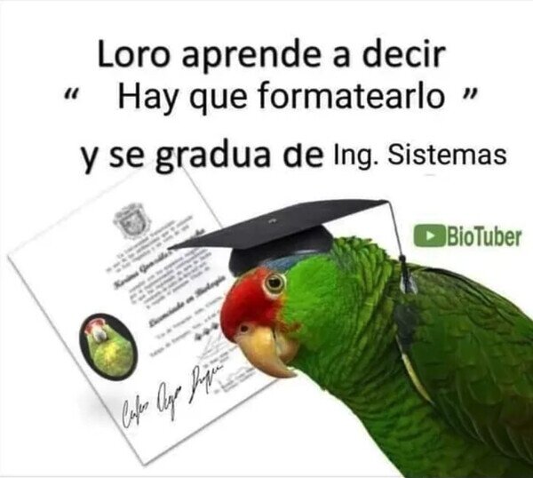 Meme_otros - Enhorabuena al loro
