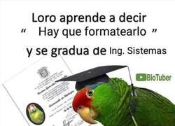 Enlace a Enhorabuena al loro