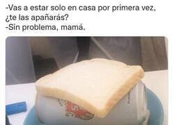 Enlace a Me las apañaré