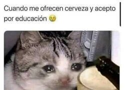 Enlace a Realmente no me gusta