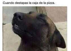 Enlace a Ese aroma...