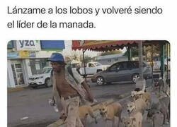 Enlace a El líder de la manada