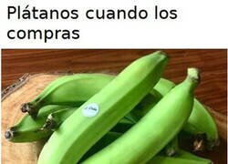 Enlace a Los plátanos maduran a su manera