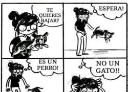 Enlace a ¡Dios mío! ¿Qué he hecho?