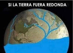Enlace a ¿Qué les pasa a esas neuronas?