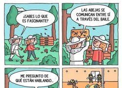 Enlace a No somos tan distintos