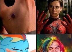 Enlace a Lo que le picó a 6ix9ine