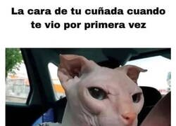 Enlace a No acabó de dar la aprobación