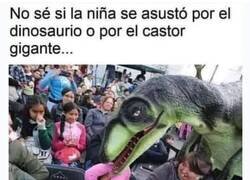 Enlace a Demasiados estímulos para ella