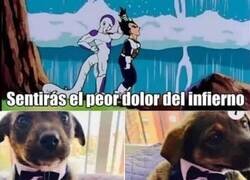 Enlace a Demasiado sufrimiento