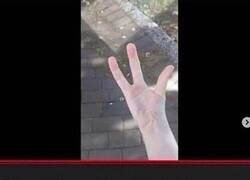 Enlace a Por mirarle el lado bueno