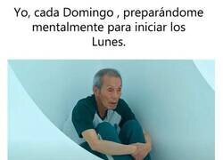 Enlace a Ahí viene otra semana