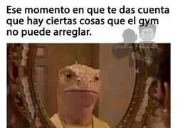 Enlace a La cara no se entrena