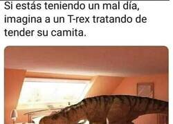 Enlace a Ya me siento mejor