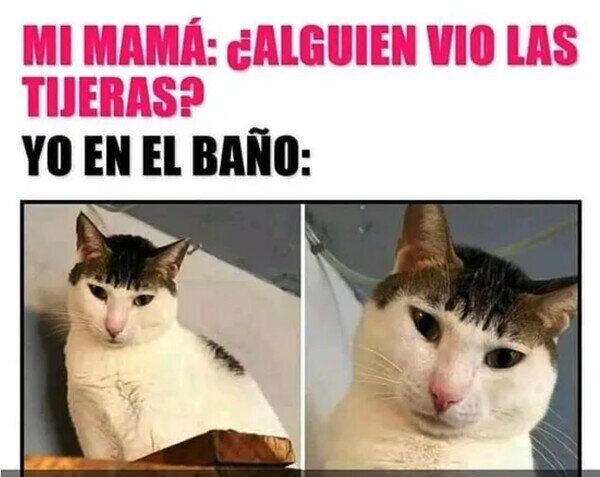 Meme_otros - Mi flequillo las vió