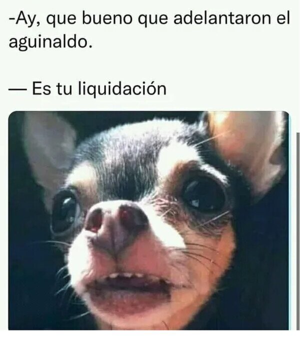 Otros - No muy feliz navidad...