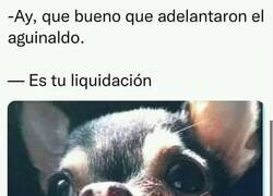 Enlace a No muy feliz navidad...