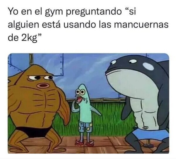 Meme_otros - Algún día seré como el resto