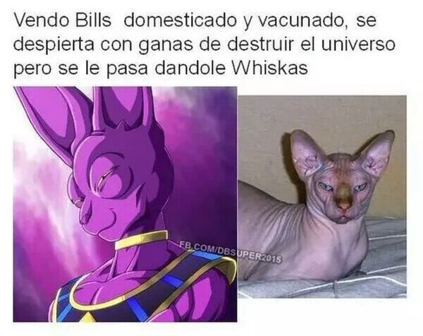 Meme_otros - vendo Bills domesticado